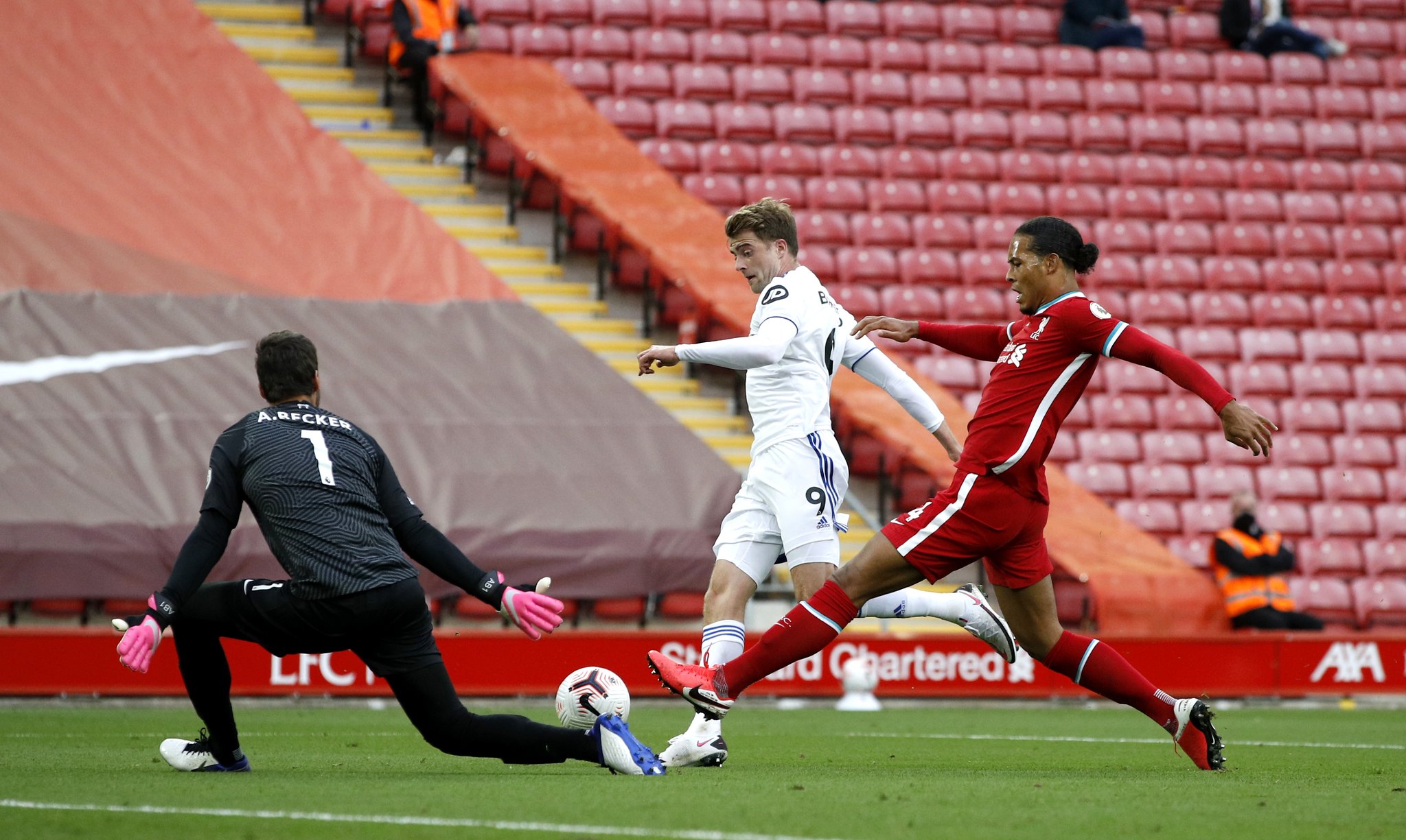 新的视角 新的视角